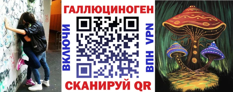 Галлюциногенные грибы Psilocybe Краснослободск